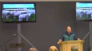 YouTube video thumbnail.