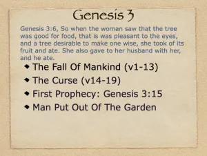 Genesis 3 Outline