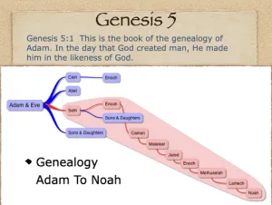 Click to enlarge image. Genesis 5 Genealogy Adam To Noah