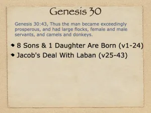 Click to enlarge image. Genesis 30 Outline