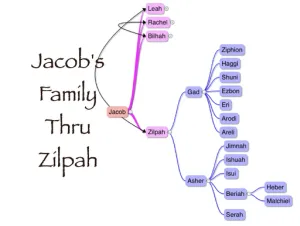 Genesis 46 Genealogy Jacobs Family Thru Zilpah