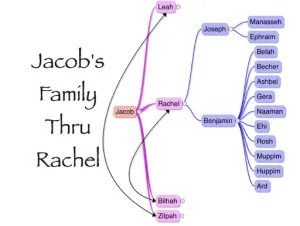 Click to enlarge image. Genesis 46 Genealogy Jacobs Family Thru Rachel