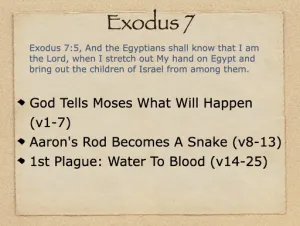 Exodus 7 Outline