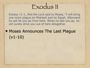 Exodus 11 Outline