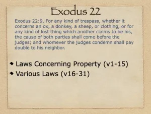 Click to enlarge image. Exodus 22 Outline