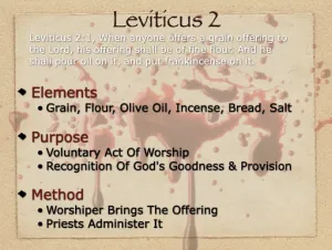 Leviticus 2 - Grain Offering