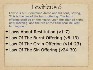 Click to enlarge image. Leviticus 6 Outline