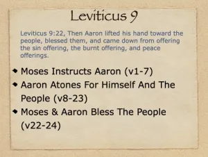 Click to enlarge image. Leviticus 9 Outline