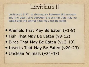 Click to enlarge image. Leviticus 11 Outline