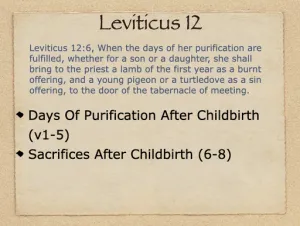 Click to enlarge image. Leviticus 12 Outline