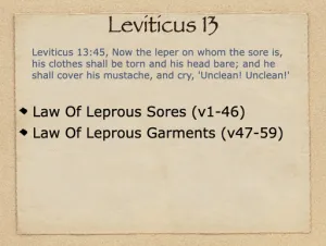 Click to enlarge image. Leviticus 13 Outline