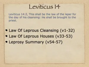 Click to enlarge image. Leviticus 14 Outline