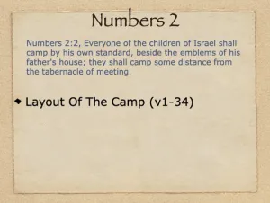 Click to enlarge image. Numbers 2 Outline