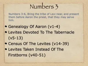 Click to enlarge image. Numbers 3 Outline