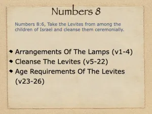 Click to enlarge image. Numbers 8 Outline