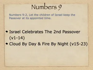 Click to enlarge image. Numbers 9 Outline