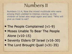 Click to enlarge image. Numbers 11 Outline