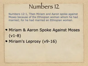 Click to enlarge image. Numbers 12 Outline