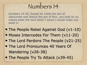 Click to enlarge image. Numbers 14 Outline