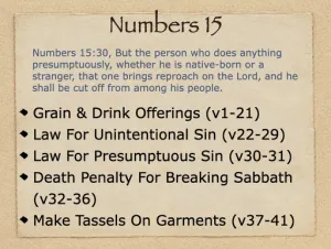 Numbers 15 Outline
