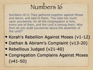 Click to enlarge image. Numbers 16 Outline