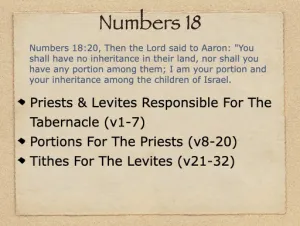 Click to enlarge image. Numbers 18 Outline