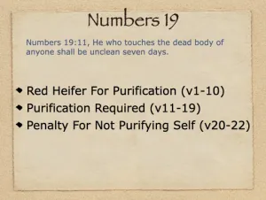 Click to enlarge image. Numbers 19 Outline