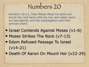 Click to enlarge image. Numbers 20 Outline