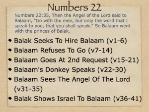 Click to enlarge image. Numbers 22 Outline