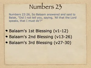 Numbers 23 Outline