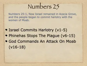 Click to enlarge image. Numbers 25 Outline