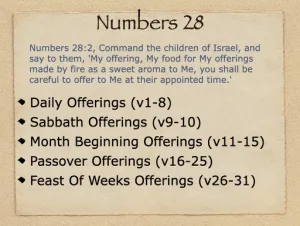 Click to enlarge image. Numbers 28 Outline