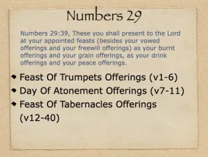Numbers 29 Outline