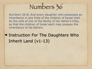 Click to enlarge image. Numbers 36 Outline