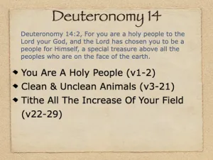 Click to enlarge image. Deuteronomy 14 Outline