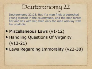 Click to enlarge image. Deuteronomy 22 Outline
