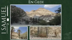 1 Samuel 24 - En Gedi