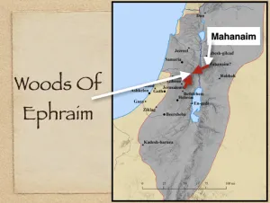 Click to enlarge image. 2 Samuel 18 - Woods Of Ephraim