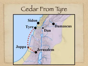 Click to enlarge image. 1 Kings 5 - Cedar From Tyre
