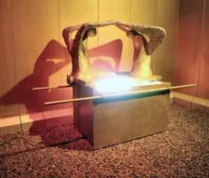 Click to enlarge image. 1 Chronicles 13-14 - Ark Of The Covenant