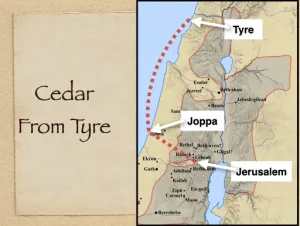 2 Chronicles 2 - Cedar From Tyre