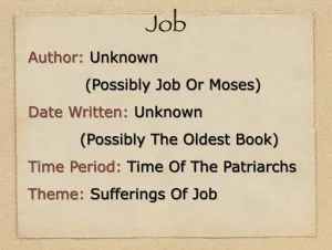 Job: Book Introduction