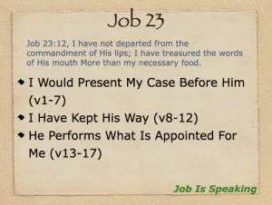 Click to enlarge image. Job 23 Outline