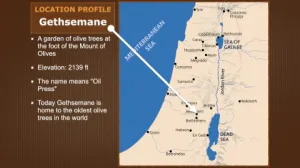 Luke 22 - Location Profile Gethsemane